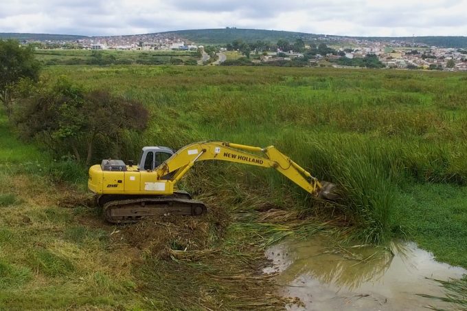 Mutirão no Parque das Bateias entra em nova etapa e Prefeitura começa a retirar vegetação da lagoa