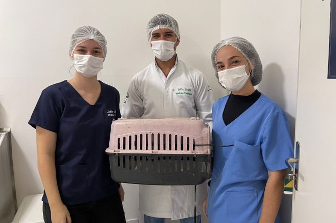 Mais de 200 cães e gatos já foram castrados em parceria entre a Secretaria de Saúde e a Clínica Veterinária da UniFTC