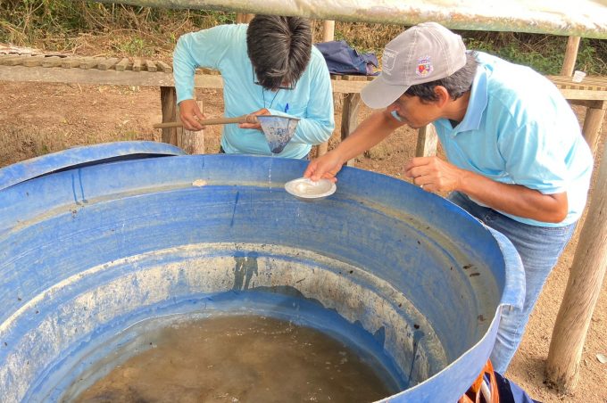 Índice de Infestação por Aedes aegypti cai para 1,3 em Vitória da Conquista