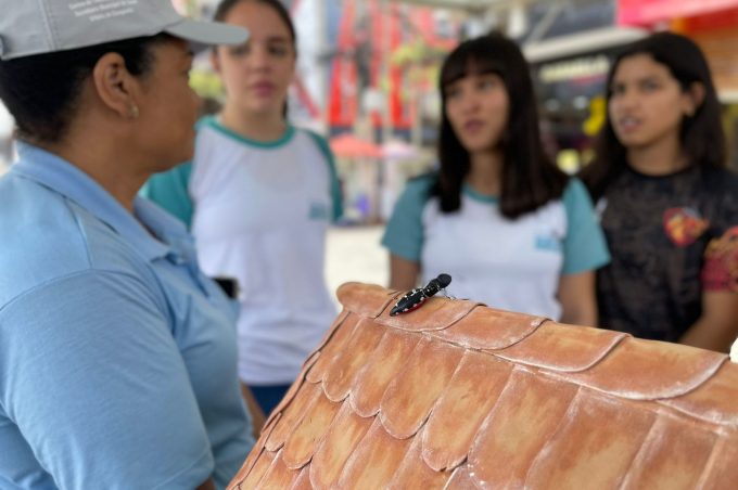 Secretaria Municipal de Saúde realiza Dia D de Combate ao mosquito Aedes aegypti nesta quinta, 12