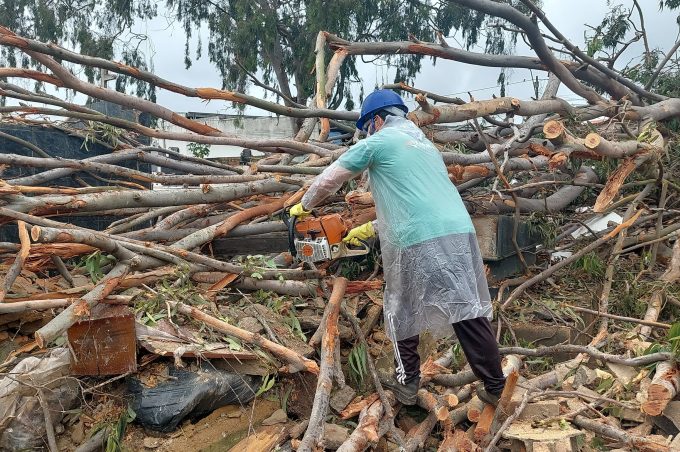 Prefeitura trabalha na poda de árvores e mutirões de limpeza no Cemitério da Saudade e em outros locais do município