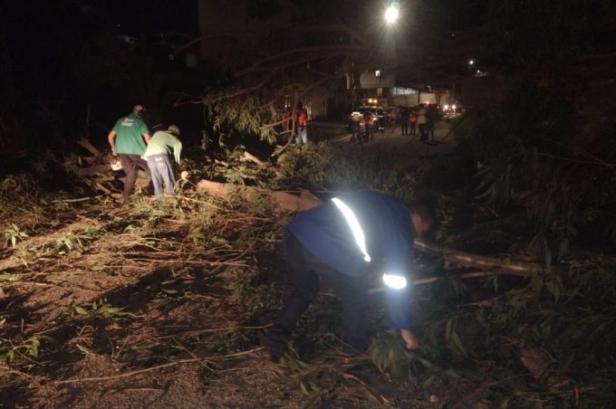 Governo Municipal presta assistência a moradores das imediações do Lomantão após queda de eucaliptos