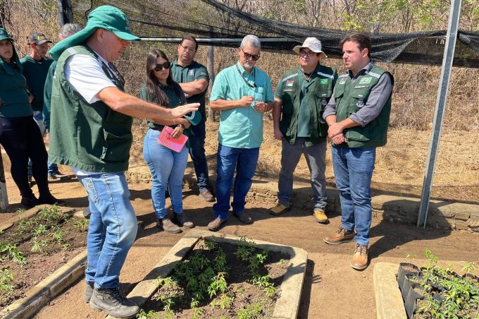 Representante da Embrapa visita Fazenda Experimental da Prefeitura para conhecer projeto do Umbu Gigante