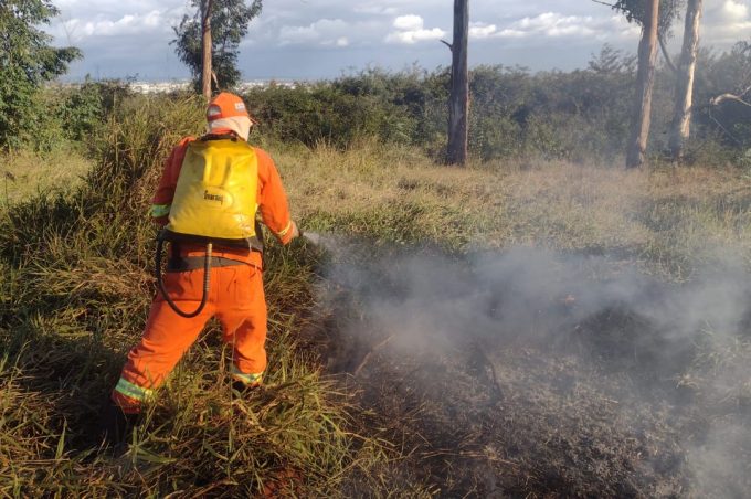 Brigada de Incêndios Florestais da Prefeitura atende ocorrências de queimadas em áreas verdes da cidade