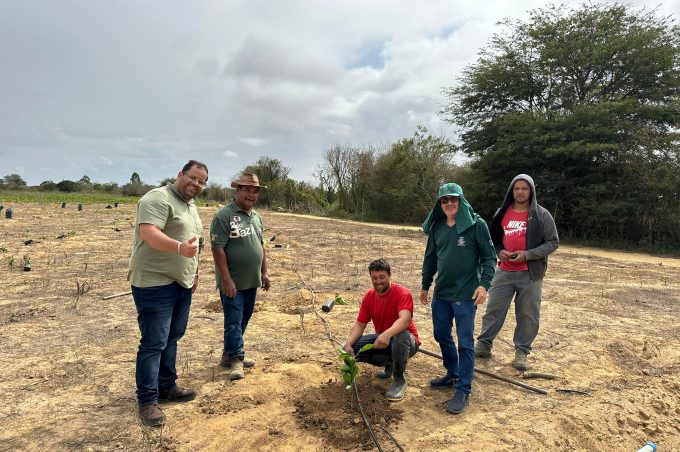 Produtores rurais participam de ações de aperfeiçoamento de práticas agrícolas oferecidas pela SMDR