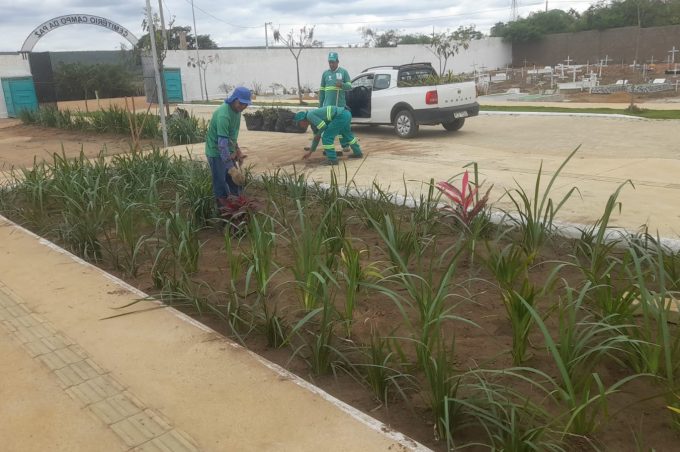Secretaria de Meio Ambiente conclui trabalho de paisagismo nos cemitérios públicos para o Dia de Finados