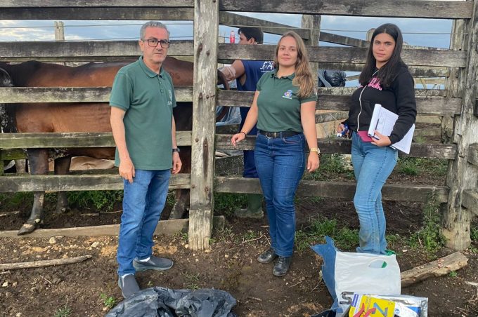Secretaria de Desenvolvimento Rural oferece programa de melhoramento do rebanho bovino do município
