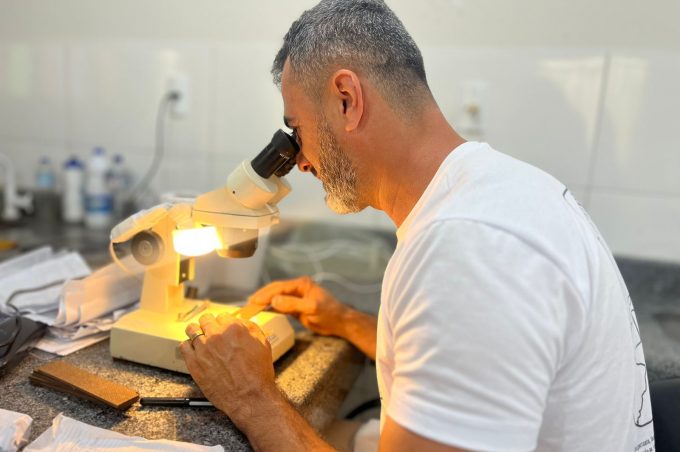 Ovitrampas: agentes de endemias recolhem mais de 11.600 ovos de mosquito da dengue em Conquista