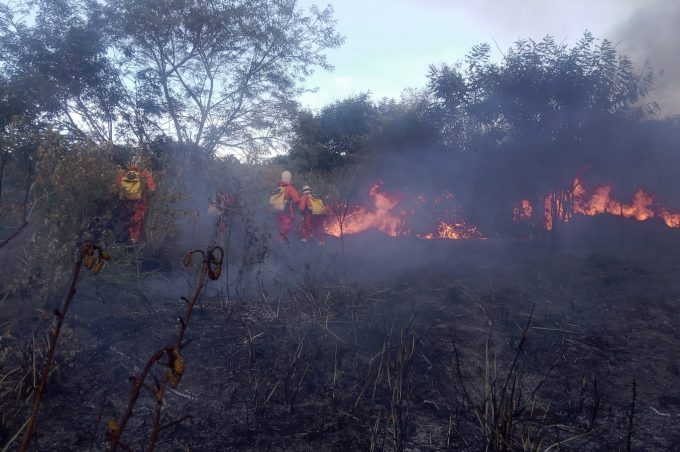 Brigadistas da Prefeitura e Corpo de Bombeiros trabalham para conter incêndio em área próxima ao Anel Viário