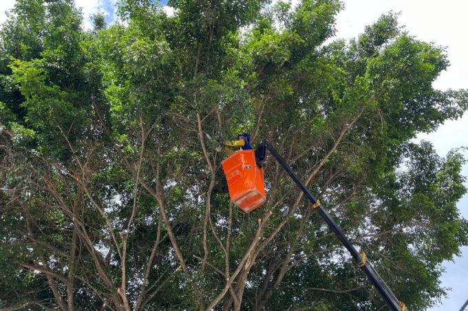 Sesep atua com mutirão de limpeza, poda de árvores e Operação Cata-Bagulho em oito locais da cidade nesta semana