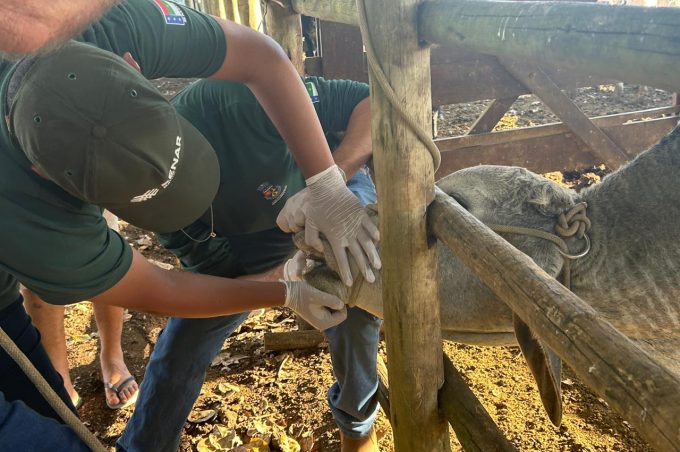 Equipe técnica da Secretaria de Desenvolvimento Rural atende propriedade do distrito de Cabeceira do Jiboia