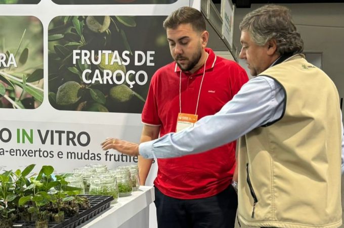 Governo Municipal participa de Congresso Brasileiro de Fruticultura em Campinas