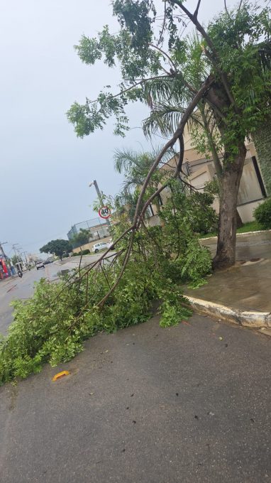 Foto: Reprodução/Prefeitura de Vitória da Conquista - BA