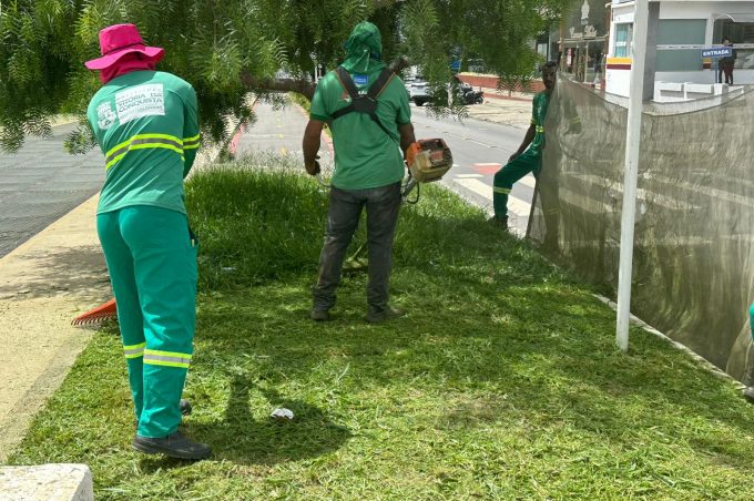 Semma realiza serviços de manutenção paisagística e poda de árvores nas avenidas Brumado e Olívia Flores