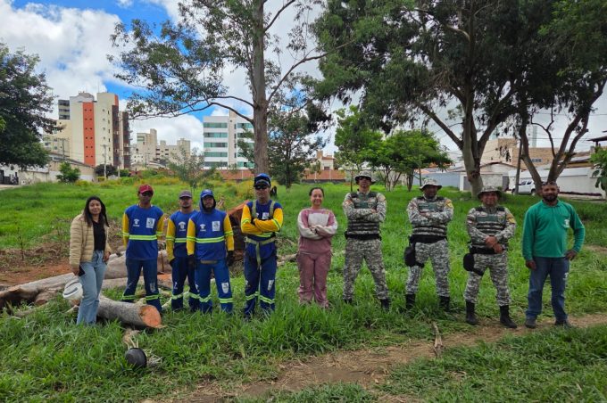 Equipes da Prefeitura realizam operação de resgate de colônia de abelhas com ferrão e poda de árvore no Bem Querer