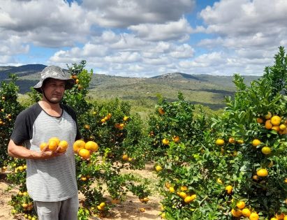 Foto: Reprodução/Prefeitura de Vitória da Conquista - BA
