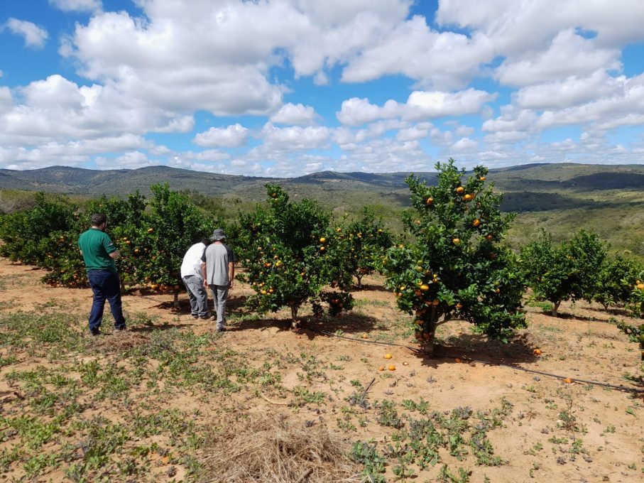 Foto: Reprodução/Prefeitura de Vitória da Conquista - BA
