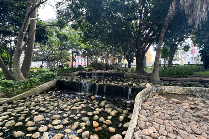 Semma transfere parte das tilápias da Praça Tancredo Neves para a Lagoa das Bateias 