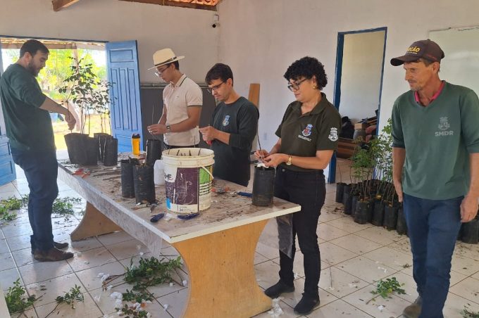 Equipes da SMDR realizam processo de enxertia de mudas na Fazenda Experimental Pedra Mole