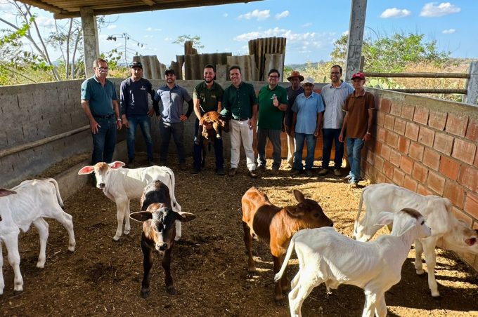 SMDR realiza o acompanhamento dos primeiros bezerros gerados pelo programa de melhoramento genético em 2026