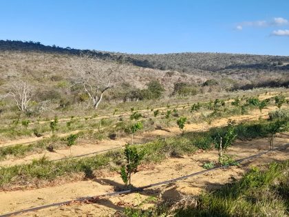 Foto: Reprodução/Prefeitura de Vitória da Conquista - BA