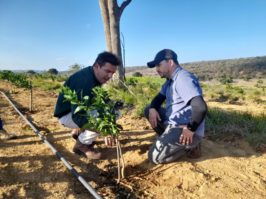 Foto: Reprodução/Prefeitura de Vitória da Conquista - BA
