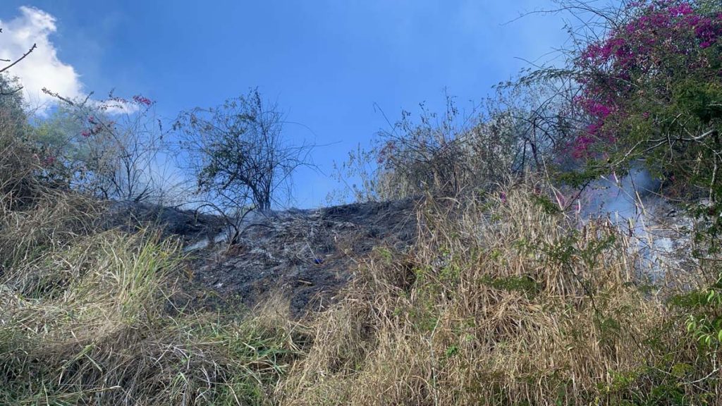 Foto: Reprodução/Prefeitura de Vitória da Conquista - BA