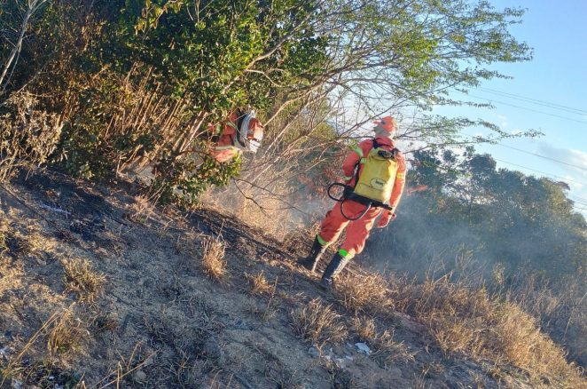 Estiagem transforma vegetação em combustível e aumenta ocorrências de incêndios em Vitória da Conquista
