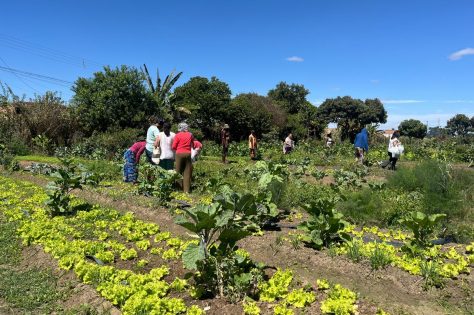 Foto: Reprodução/Prefeitura de Vitória da Conquista - BA