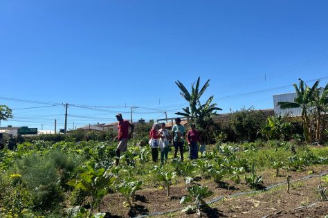 Foto: Reprodução/Prefeitura de Vitória da Conquista - BA