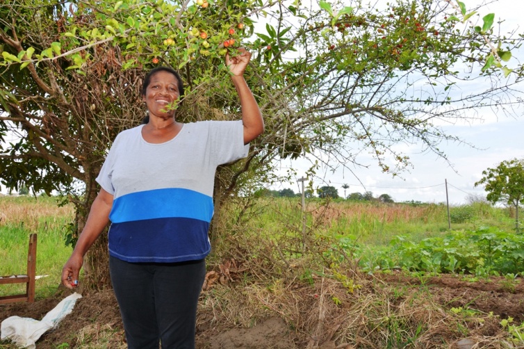 Produtos de qualidade para o público e fortalecimento para a agricultura familiar