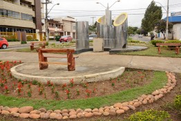 Meio Ambiente reaproveita eucaliptos erradicados na área urbana