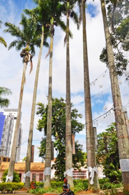 combate-intolerancia-religiosa (4)