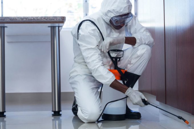 Portaria regulamenta prestação de serviço de empresas de dedetização no município