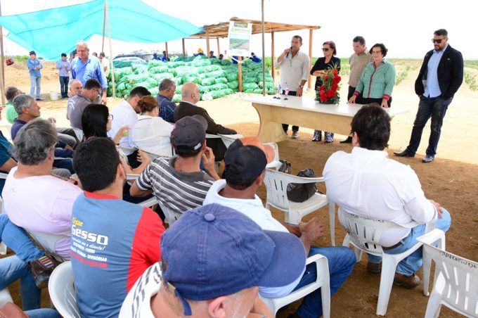 Prefeitura entrega primeiras mudas de palmas: iniciativa é pioneira na Bahia