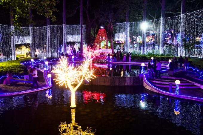 Natal Conquista de Luz: Governo Municipal leva cor, brilho e cultura à Praça Tancredo Neves na abertura dos festejos natalinos