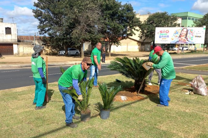 Secretaria Municipal de Meio Ambiente dá início ao paisagismo na Avenida Brumado