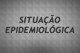 Prefeitura divulga números de notificações para H1N1, Dengue, Zika e Chikungunya