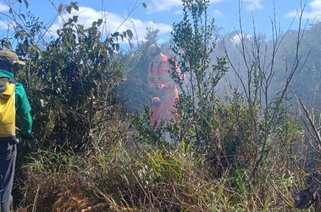 Brigada da Secretaria Municipal de Meio Ambiente atua no combate a incêndio na Serra do Periperi