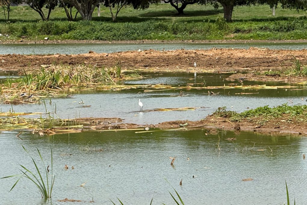 Foto: Reprodução/Prefeitura de Vitória da Conquista - BA