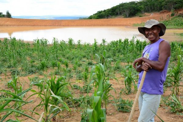 plantacao-de-milho