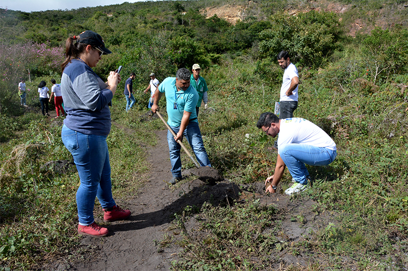 Projeto de revitalização de nascentes planta 100 mudas nativas na Serra do Piripiri