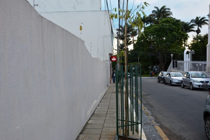 Mais árvores são plantadas no quarteirão da Prefeitura