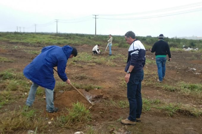Secretaria de Meio Ambiente realiza plantios na Serra do Piripiri