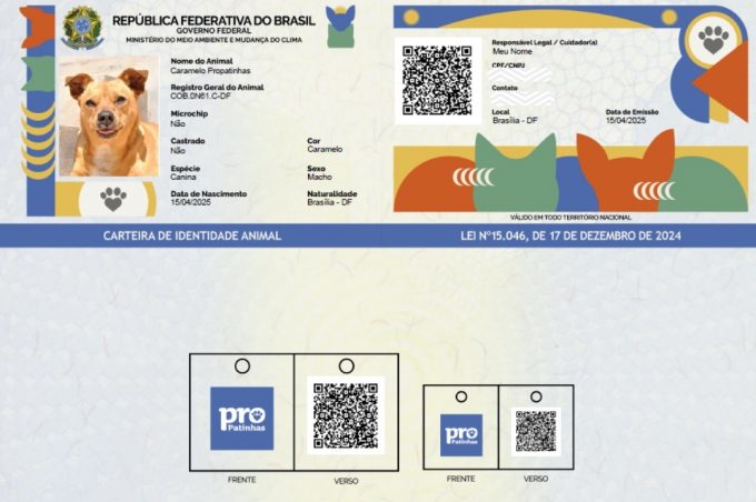 Centro de Apoio à Saúde Animal vai auxiliar tutores na emissão do documento de identificação e proteção de cães e gatos