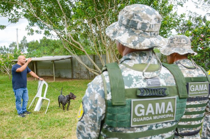 Guarda Municipal participa de treinamento sobre manejo de cães em vias públicas