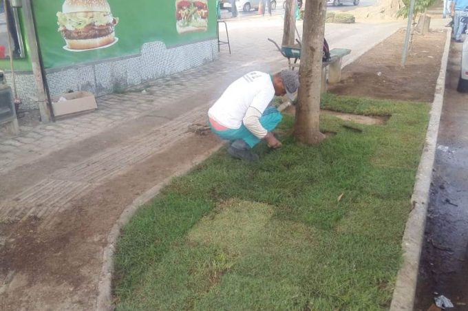 Meio Ambiente reimplanta praça da Ascendino Melo