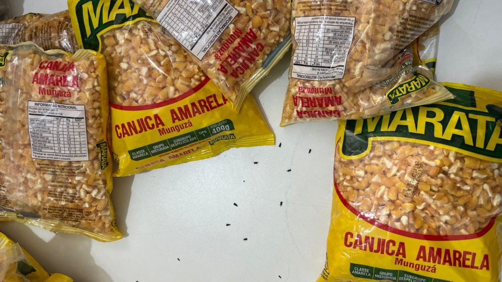 Foto: Reprodução/Prefeitura de Vitória da Conquista - BA