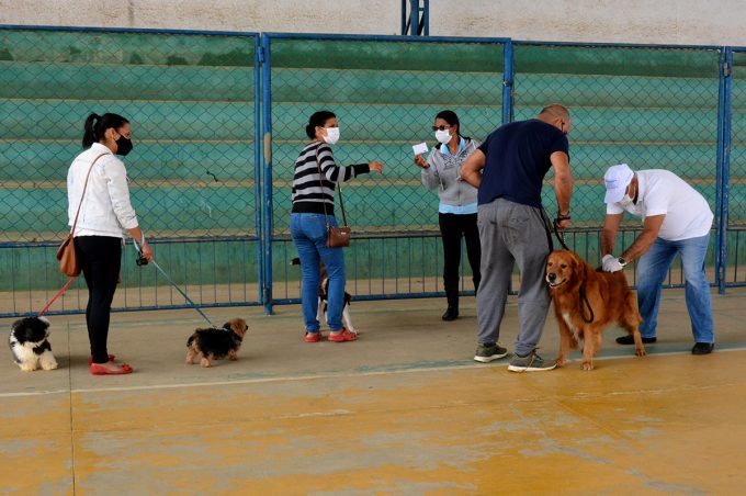 Mais de 17 mil cães e gatos já foram vacinados na campanha antirrábica, que continua neste sábado