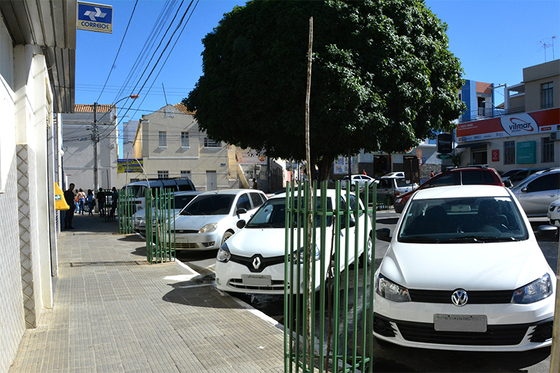 Ato de vandalismo destrói árvores plantadas na calçada da Prefeitura
